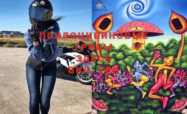 стафф Баксан