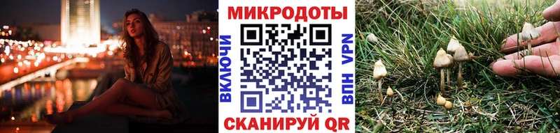Галлюциногенные грибы Cubensis  гидра ссылки  Балей  хочу  